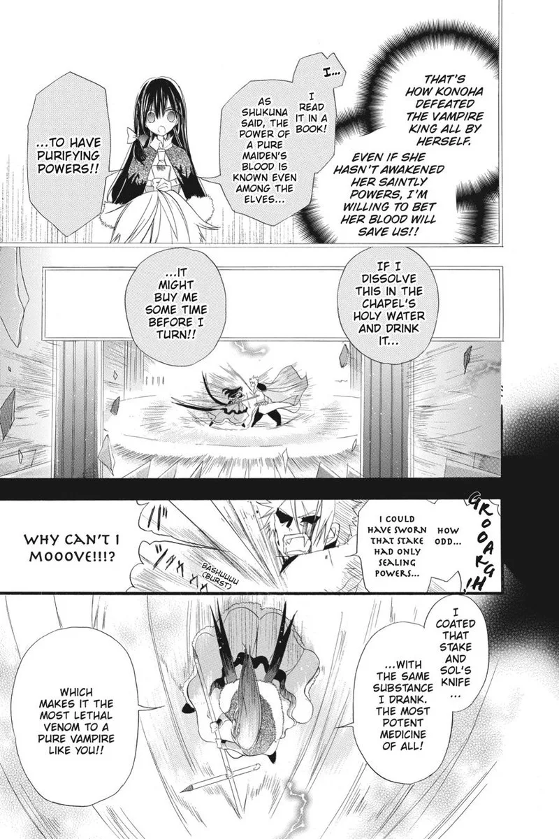 Tensei Akujo no Kuro Rekishi Chapter 17 page 13