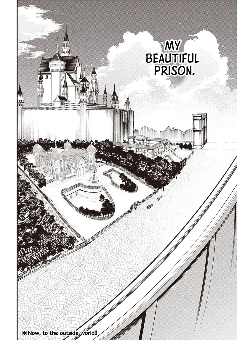 Tensei Arasaa Joshi no Kotoyo Kaikatsu Chapter 8 page 29