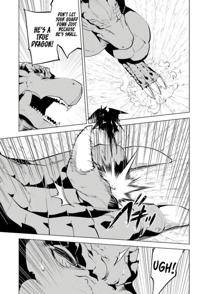 Tensei Kenja no Isekai Raifu ~Daini no Shokugyo wo Ete, Sekai Saikyou ni Narimashita~ Chapter 26 page 21