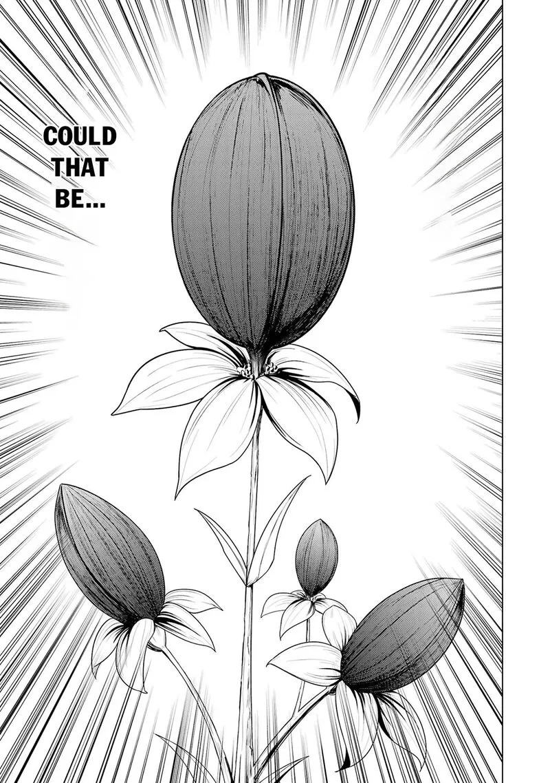 Tensei Kenja no Isekai Raifu ~Daini no Shokugyo wo Ete, Sekai Saikyou ni Narimashita~ Chapter 98 page 46