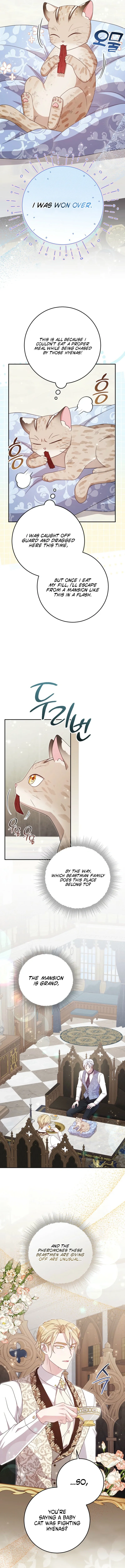 The Baby Wildcat of the Tiger Clan Chapter 1 page 14