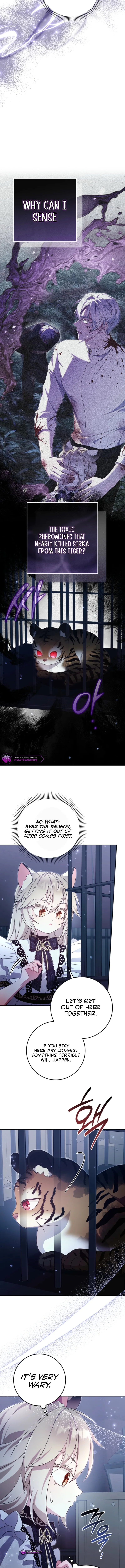 The Baby Wildcat of the Tiger Clan Chapter 16 page 7