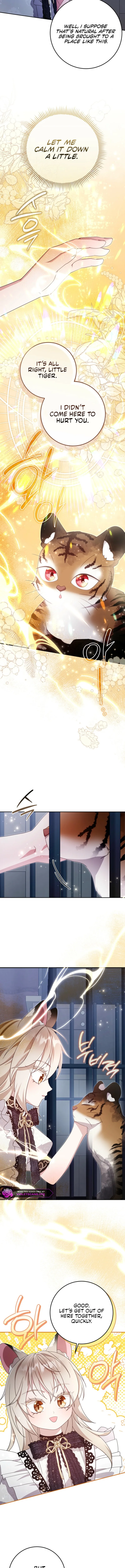 The Baby Wildcat of the Tiger Clan Chapter 16 page 8