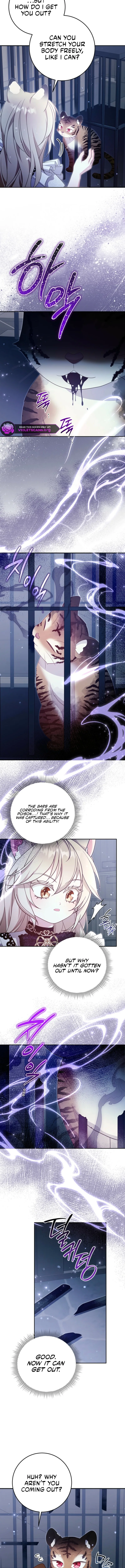 The Baby Wildcat of the Tiger Clan Chapter 16 page 9