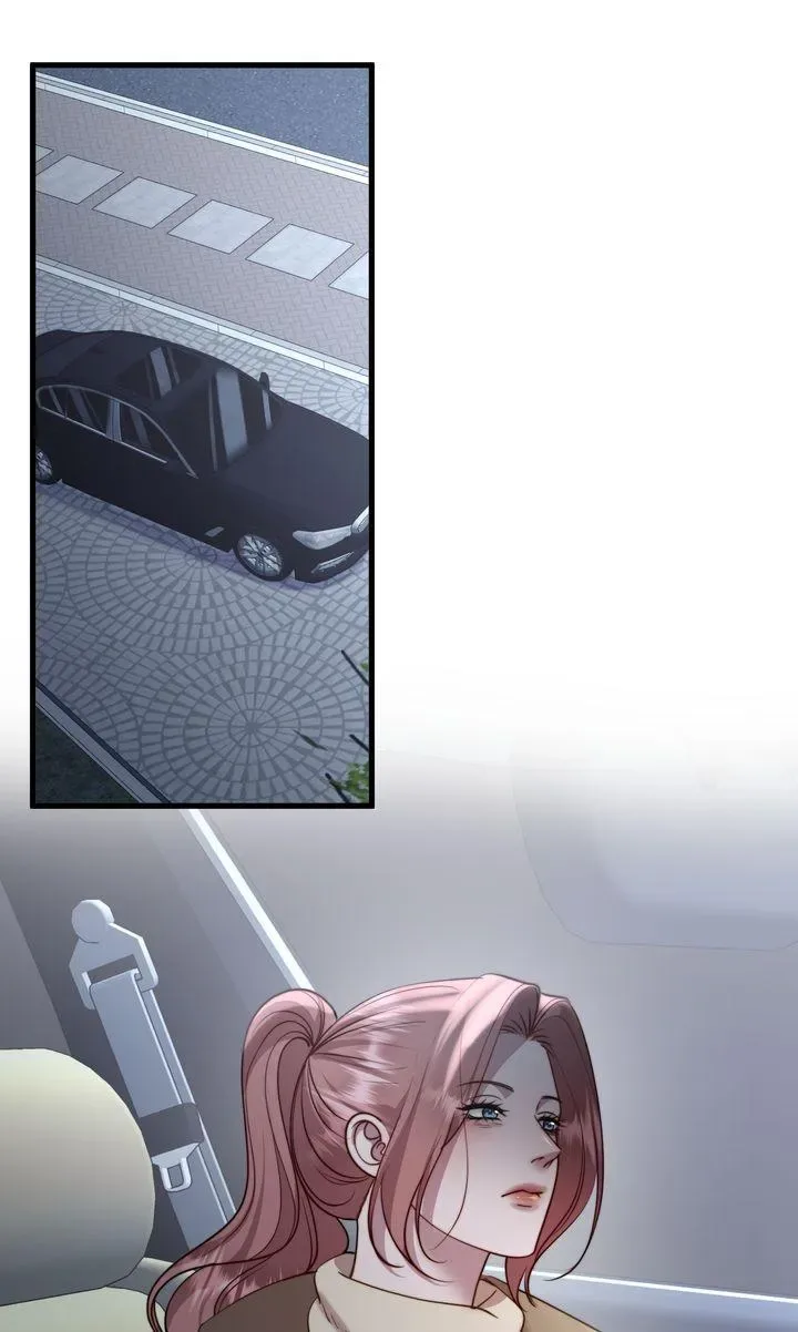 The Billionaire’s Replacement Wife Chapter 91 page 19