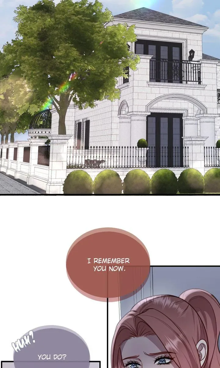 The Billionaire’s Replacement Wife Chapter 91 page 31