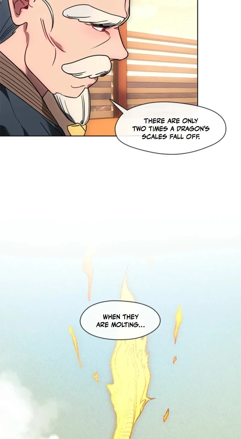 The Bridal Night Chapter 49 page 33