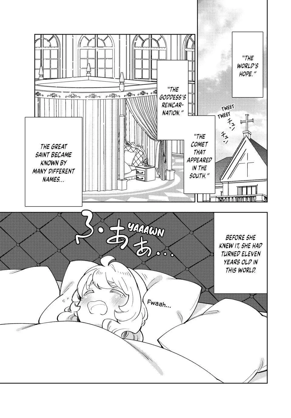 The Casual Chronicles of a Great Saint Chapter 41 page 3