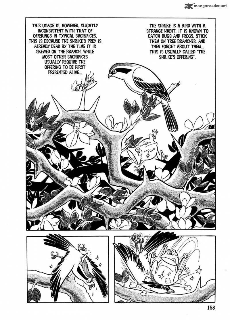 The Crater Chapter 16 page 1