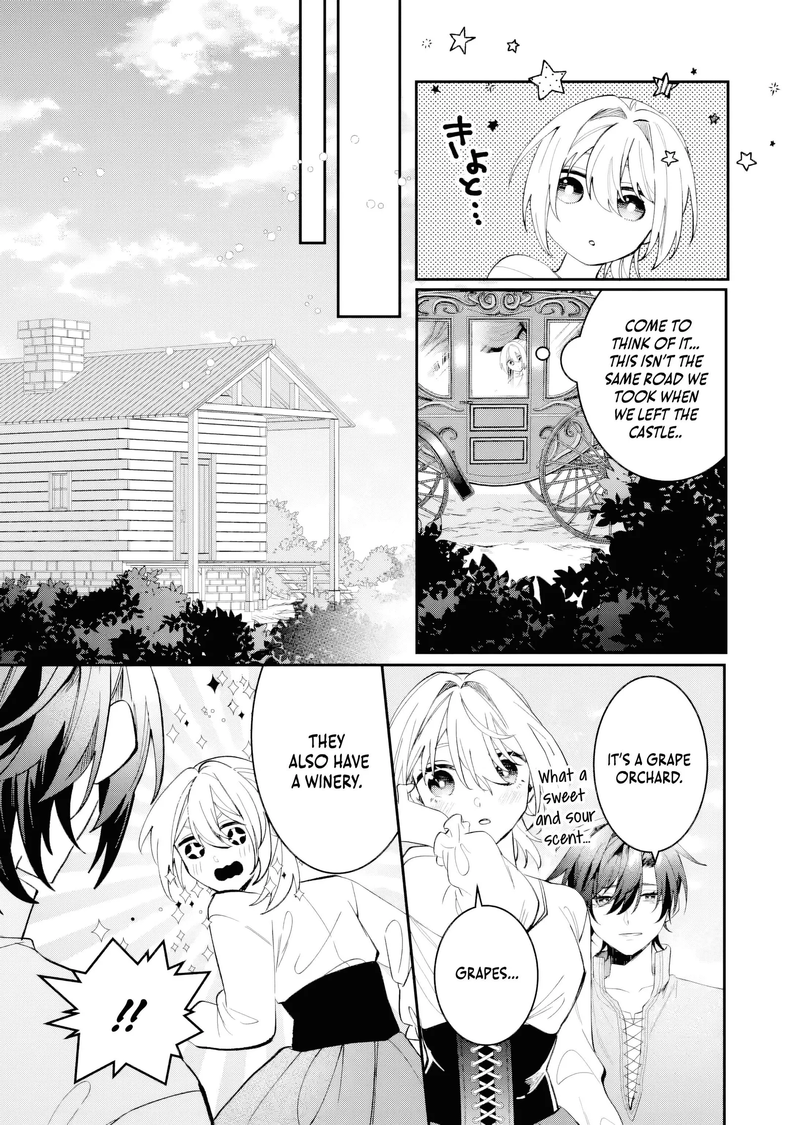 The Cruel King I'm Marrying as a Substitute Bride is My First Love?! Chapter 6.3 page 8