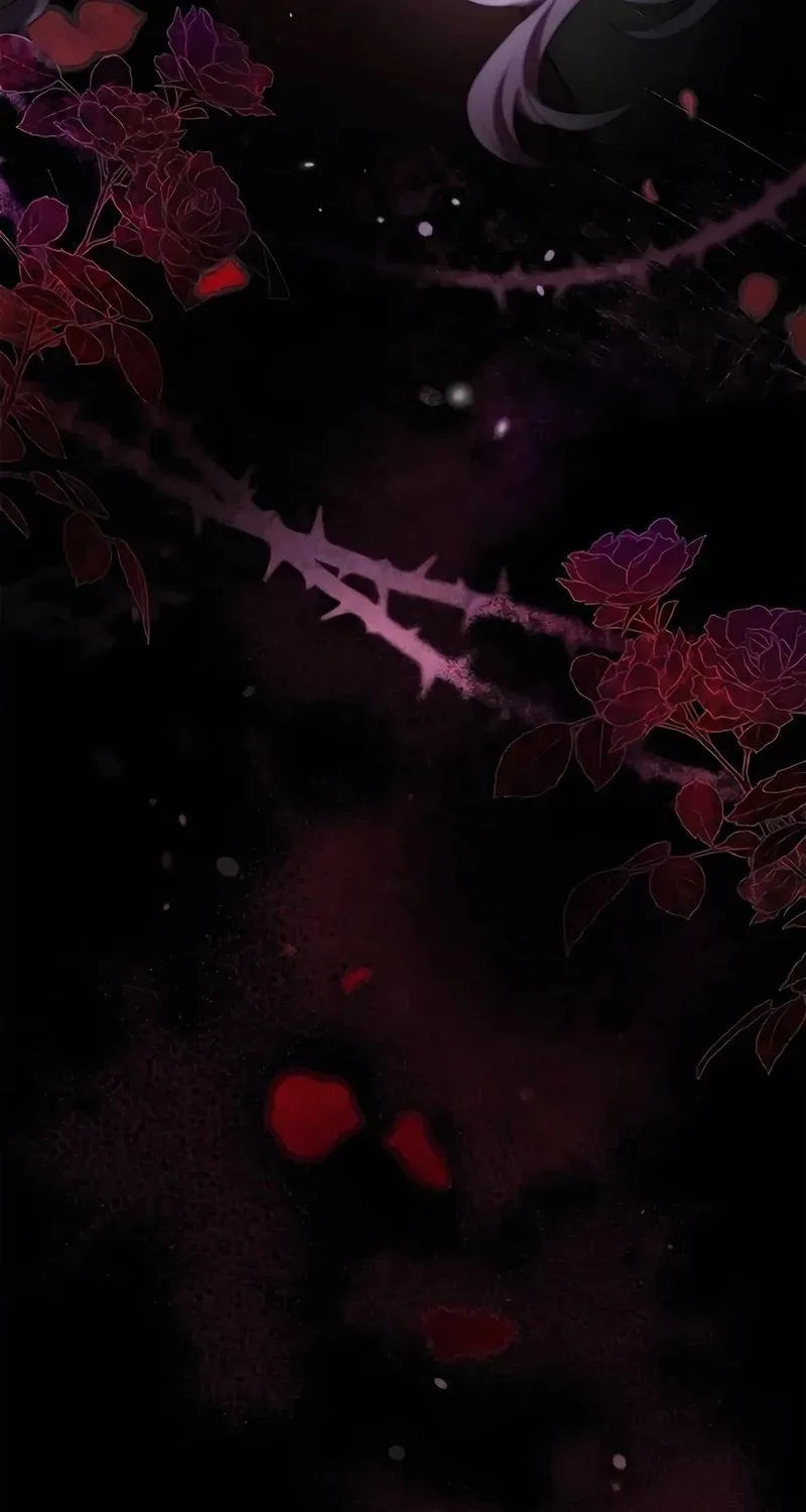 The Cursed Beauty Chapter 11 page 106