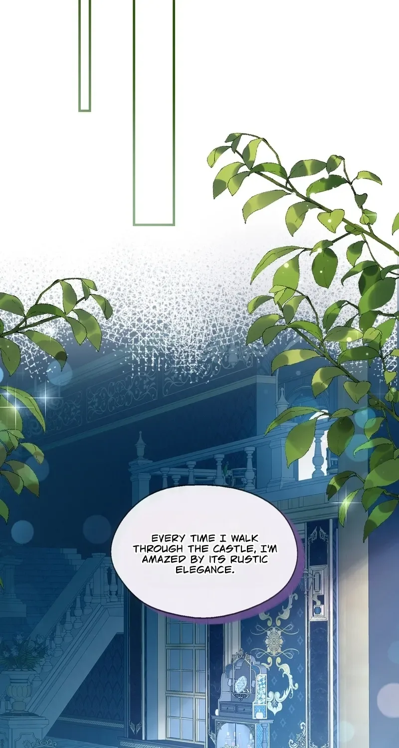 The Demon Maid Only Wants to Be Bullied by the Villainess Noble Lady Chapter 6 page 7