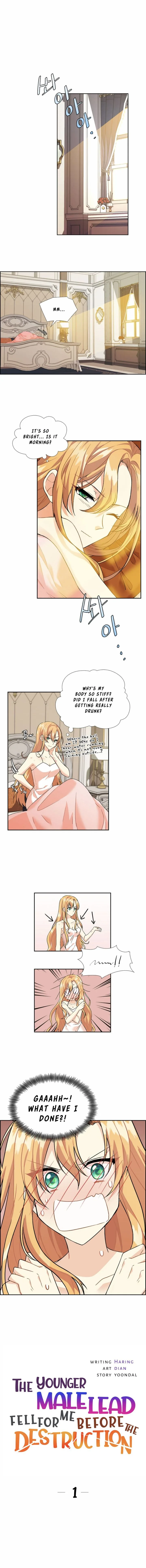 The Destroyer Fell in Love With Me Chapter 1 page 1