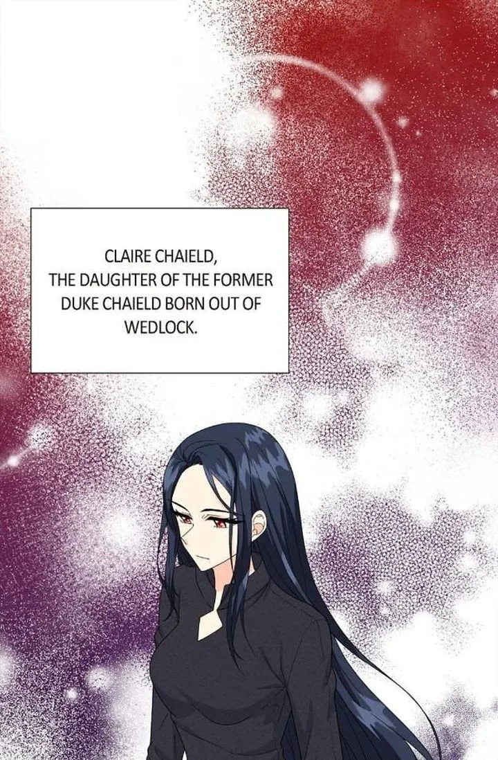The Destroyer Fell in Love With Me Chapter 11 page 1