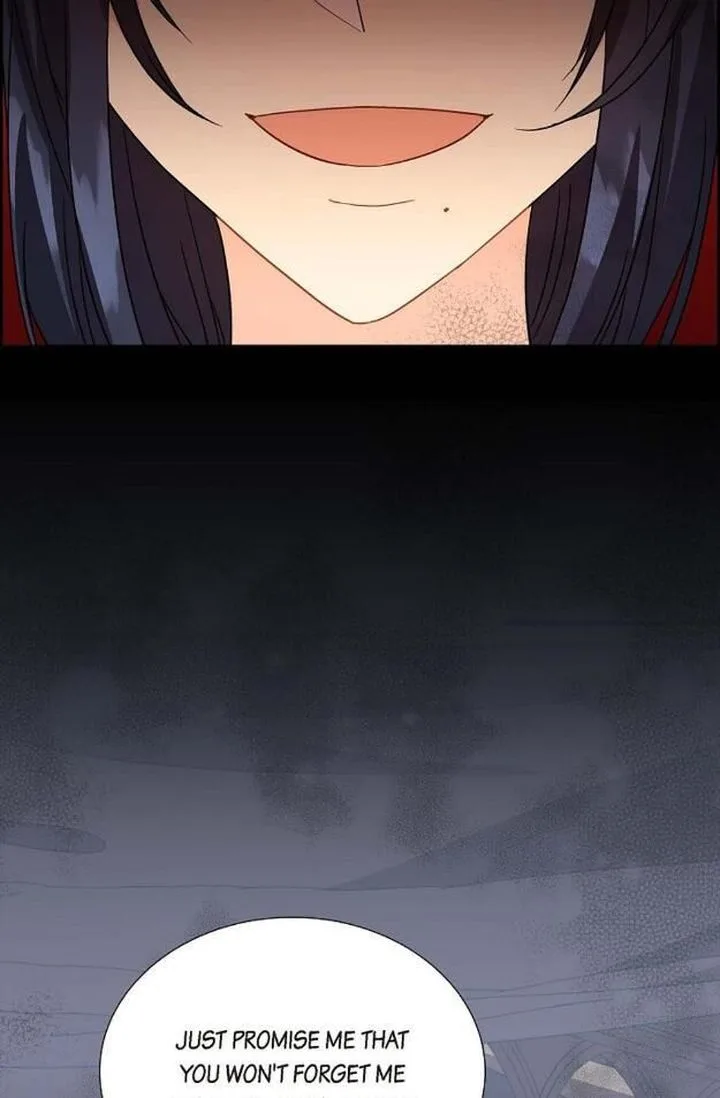 The Destroyer Fell in Love With Me Chapter 11 page 13