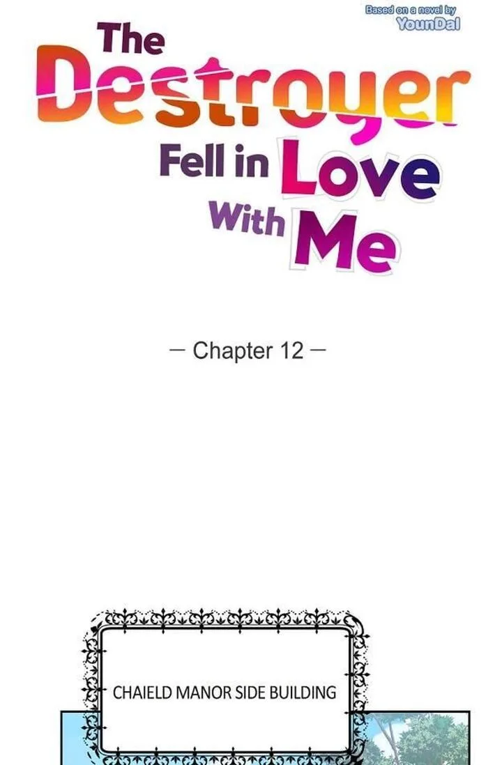 The Destroyer Fell in Love With Me Chapter 12 page 17