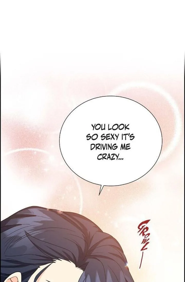 The Destroyer Fell in Love With Me Chapter 13 page 18