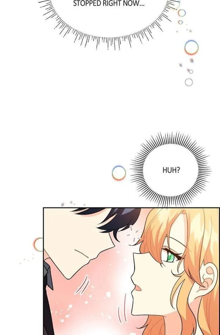 The Destroyer Fell in Love With Me Chapter 13 page 29