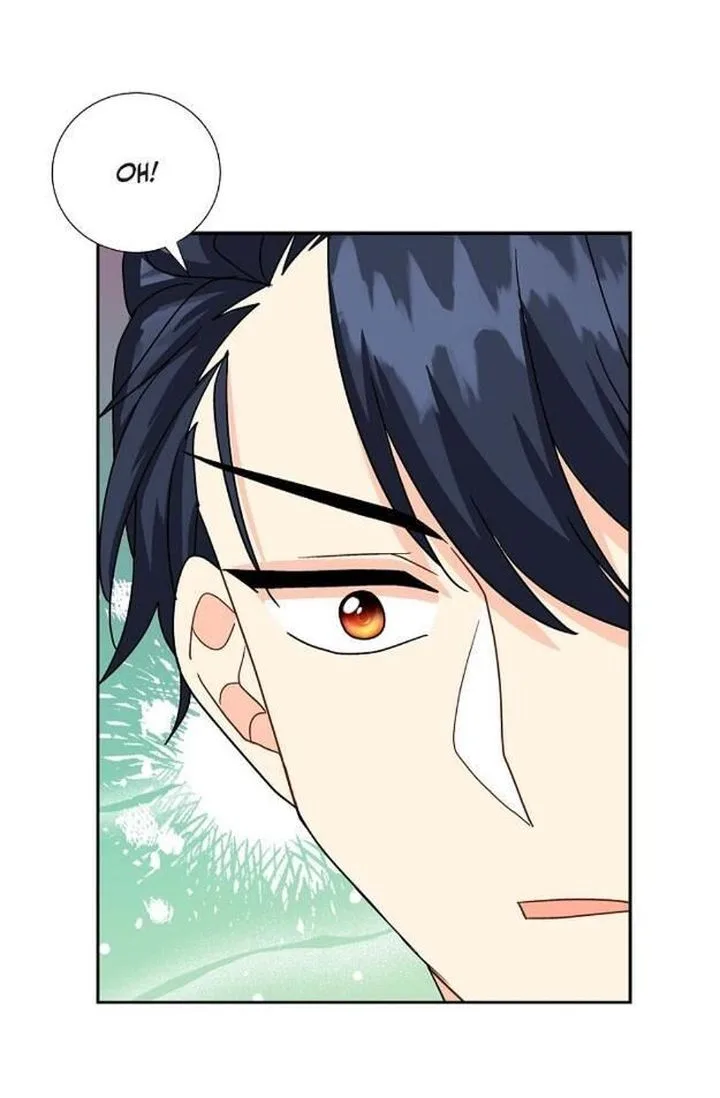 The Destroyer Fell in Love With Me Chapter 13 page 65