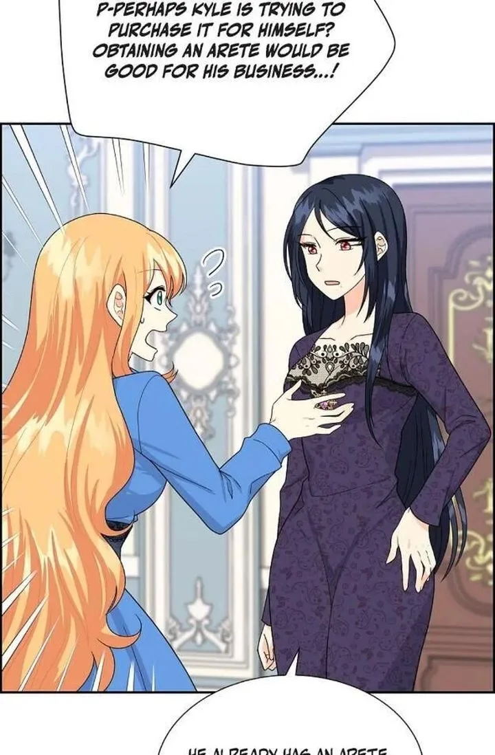 The Destroyer Fell in Love With Me Chapter 14 page 27