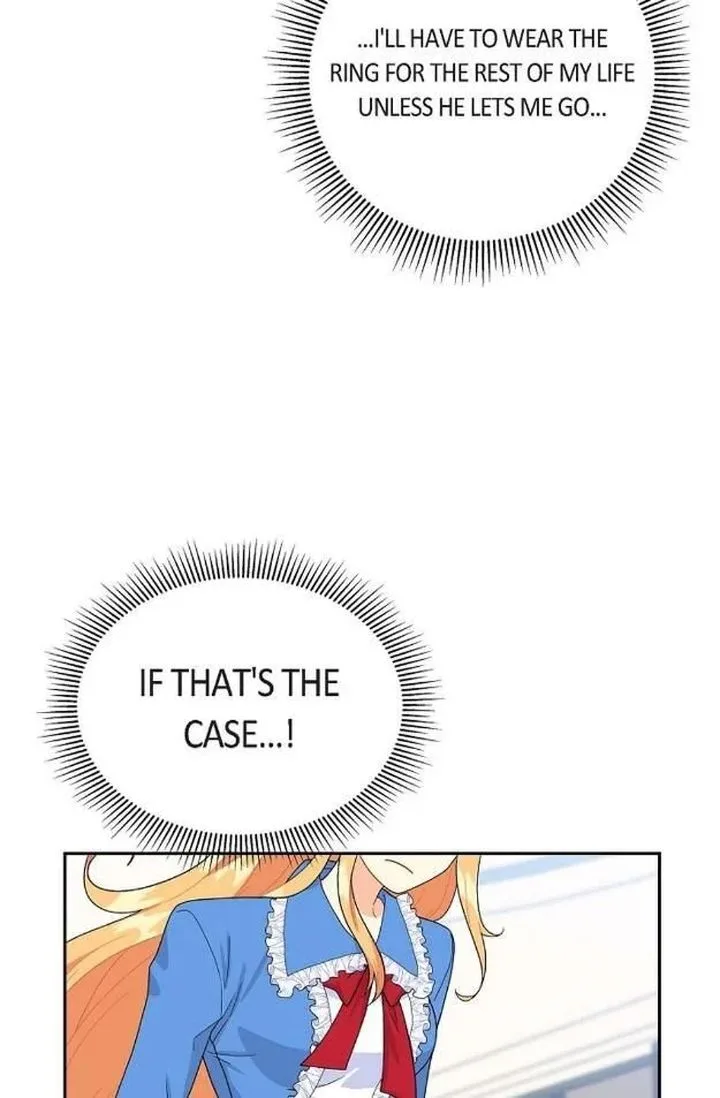 The Destroyer Fell in Love With Me Chapter 14 page 41