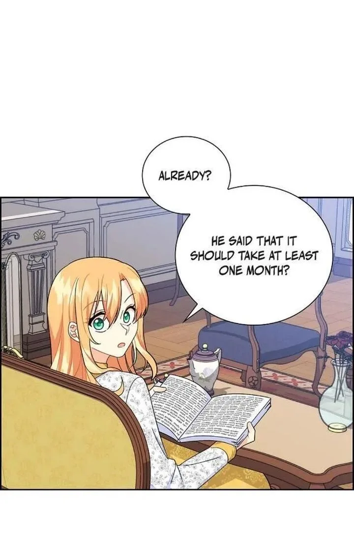 The Destroyer Fell in Love With Me Chapter 14 page 68