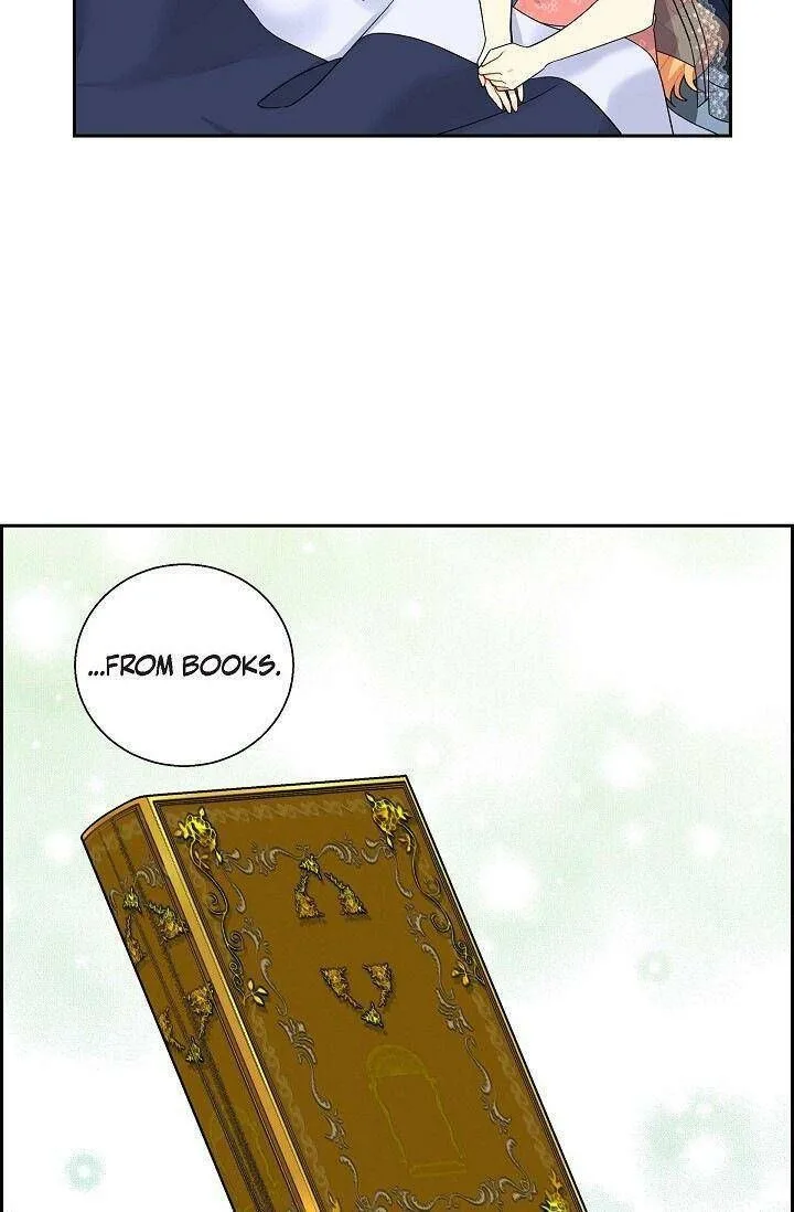 The Destroyer Fell in Love With Me Chapter 17 page 46