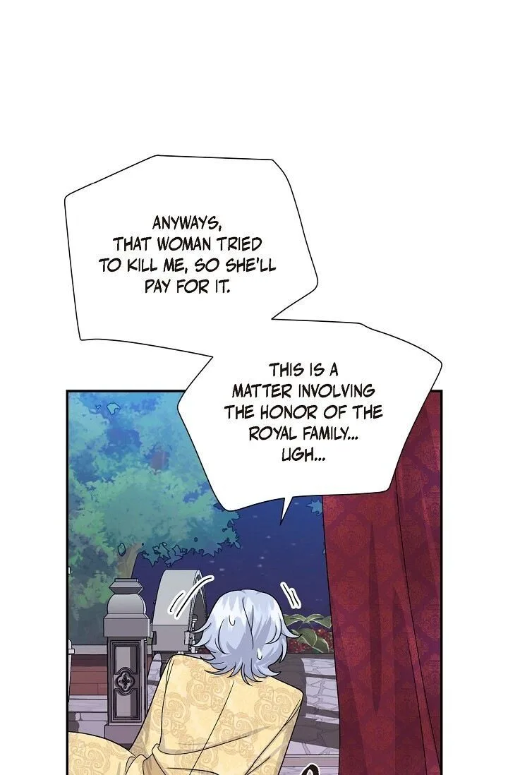 The Destroyer Fell in Love With Me Chapter 21 page 13