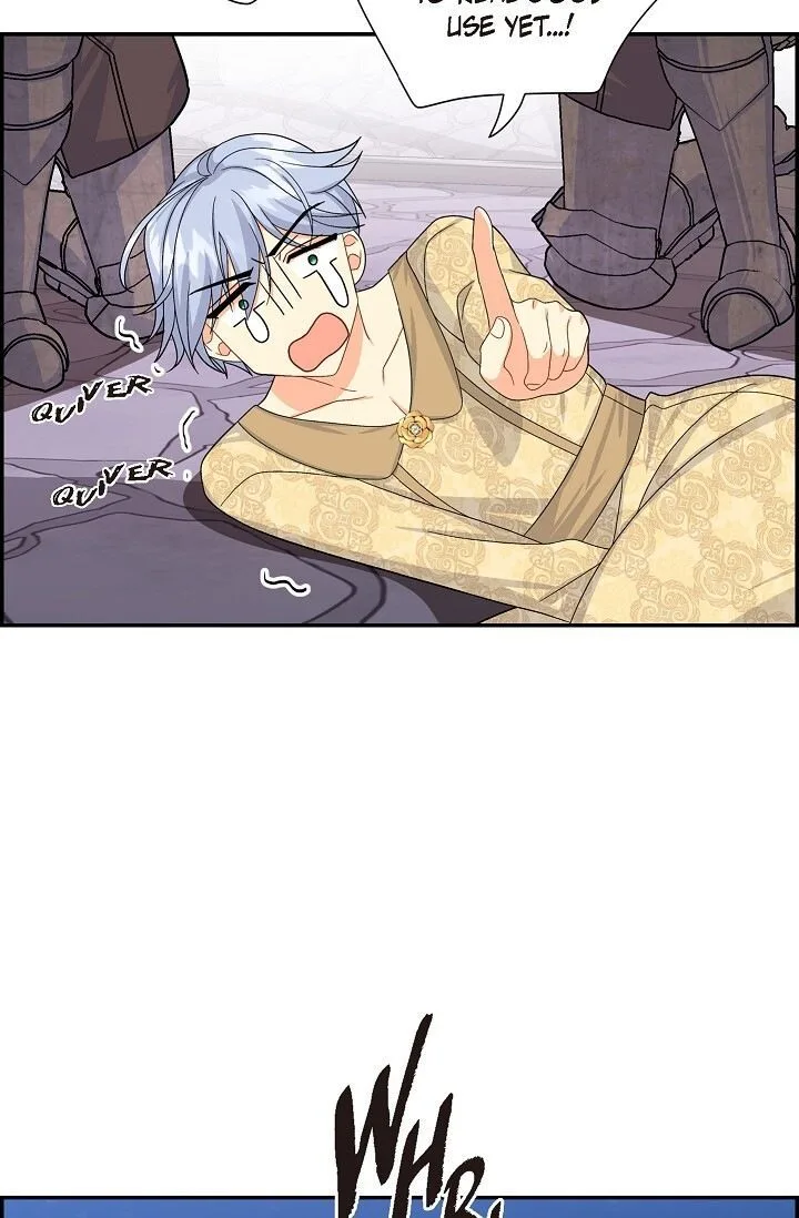 The Destroyer Fell in Love With Me Chapter 21 page 3