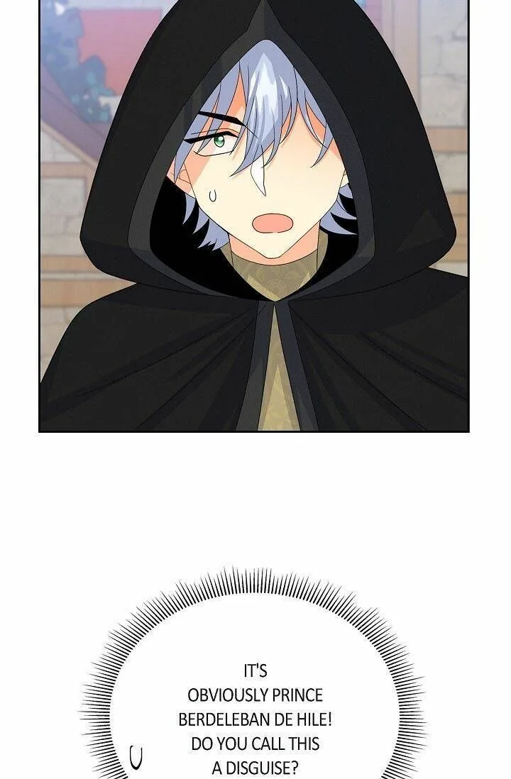 The Destroyer Fell in Love With Me Chapter 23 page 29