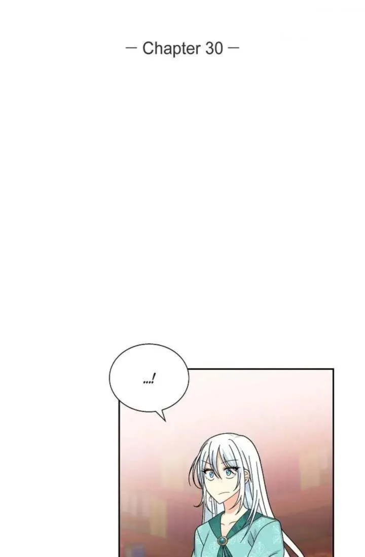 The Destroyer Fell in Love With Me Chapter 30 page 5
