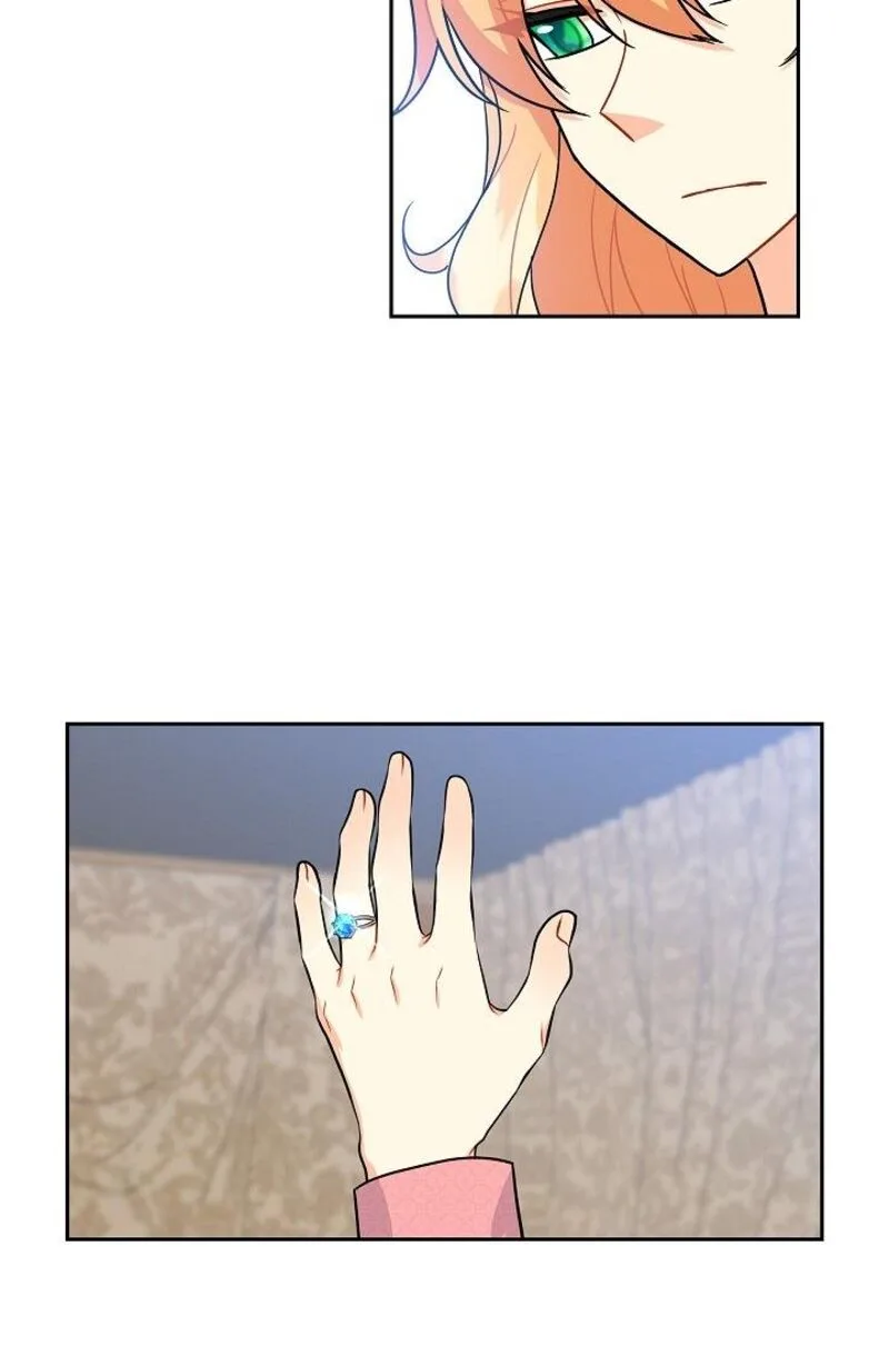 The Destroyer Fell in Love With Me Chapter 39 page 52