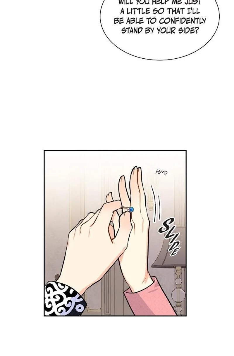 The Destroyer Fell in Love With Me Chapter 40 page 52