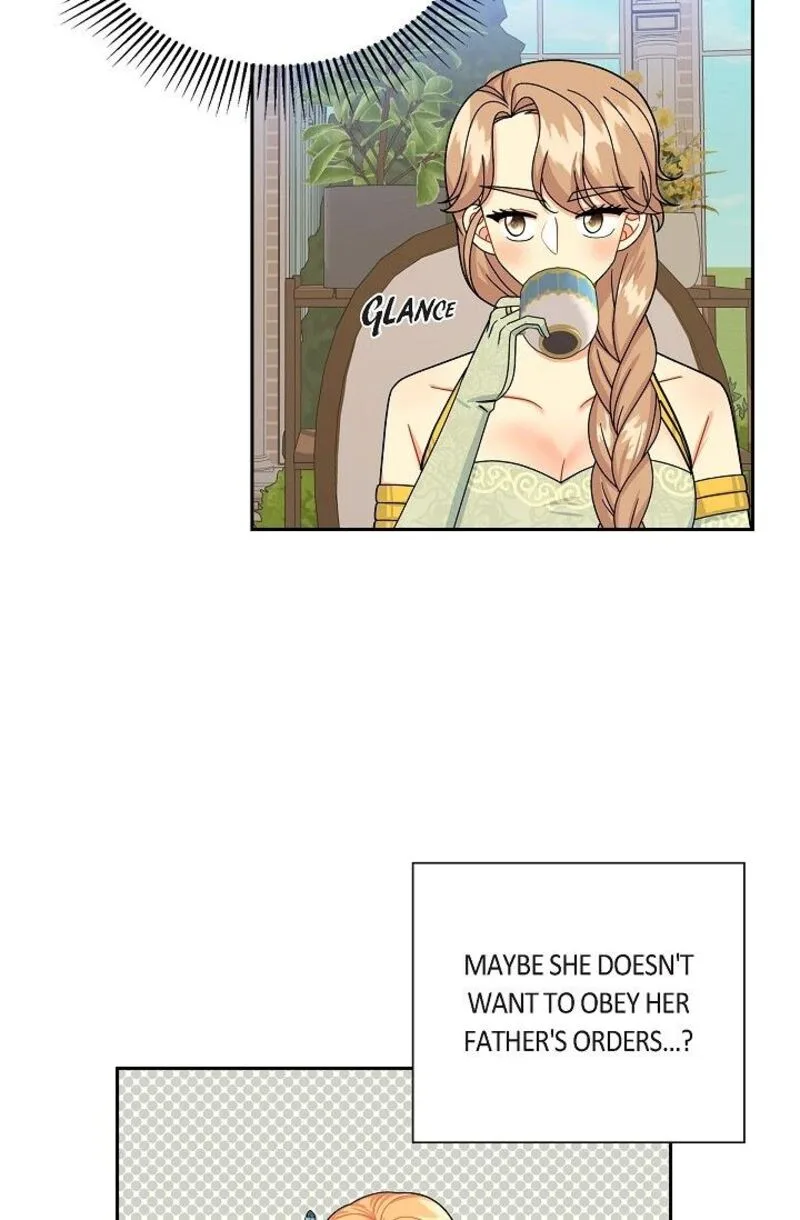 The Destroyer Fell in Love With Me Chapter 45 page 13