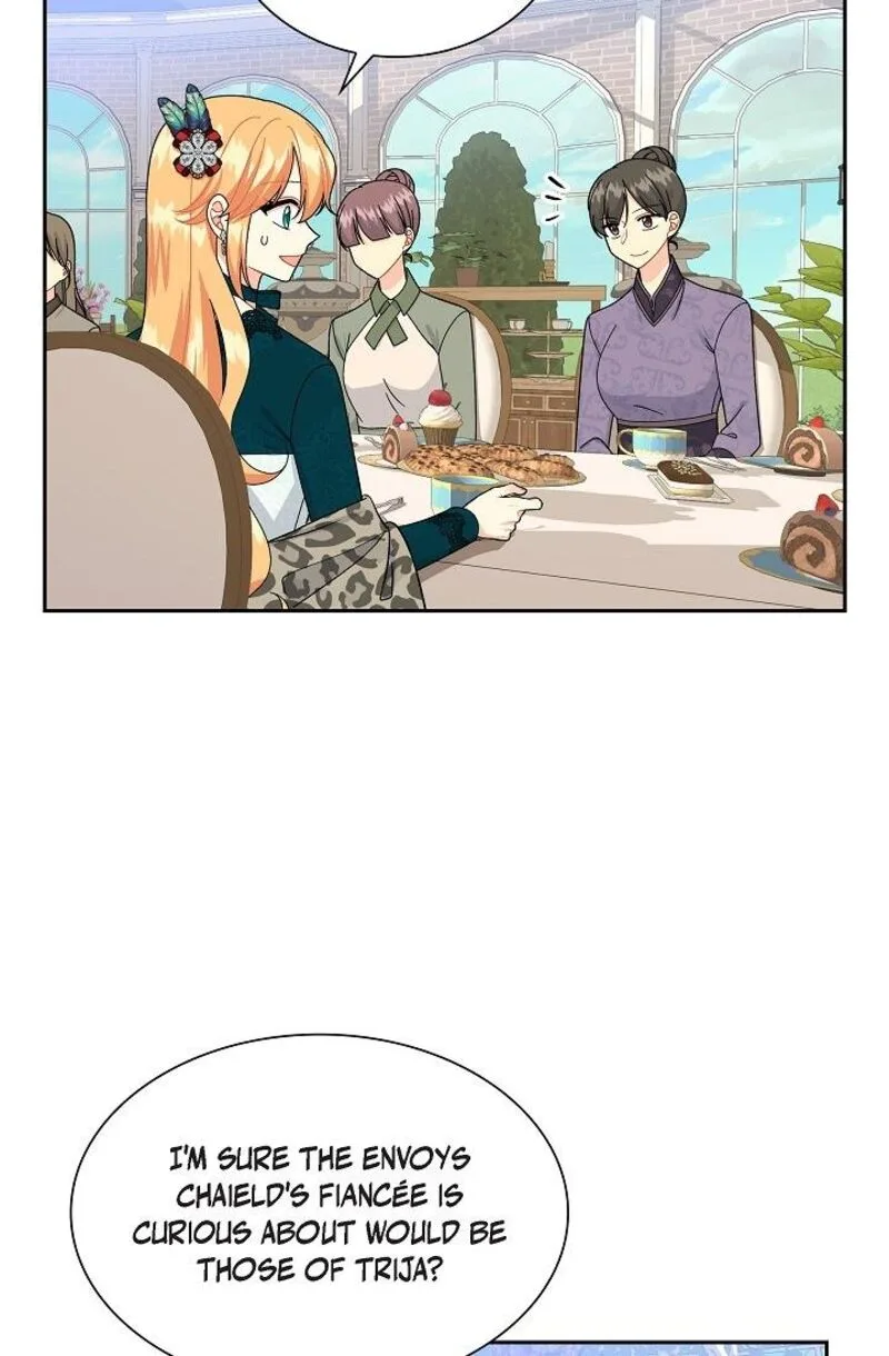 The Destroyer Fell in Love With Me Chapter 45 page 16