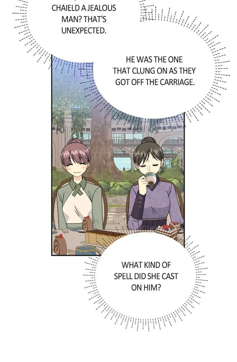 The Destroyer Fell in Love With Me Chapter 45 page 24