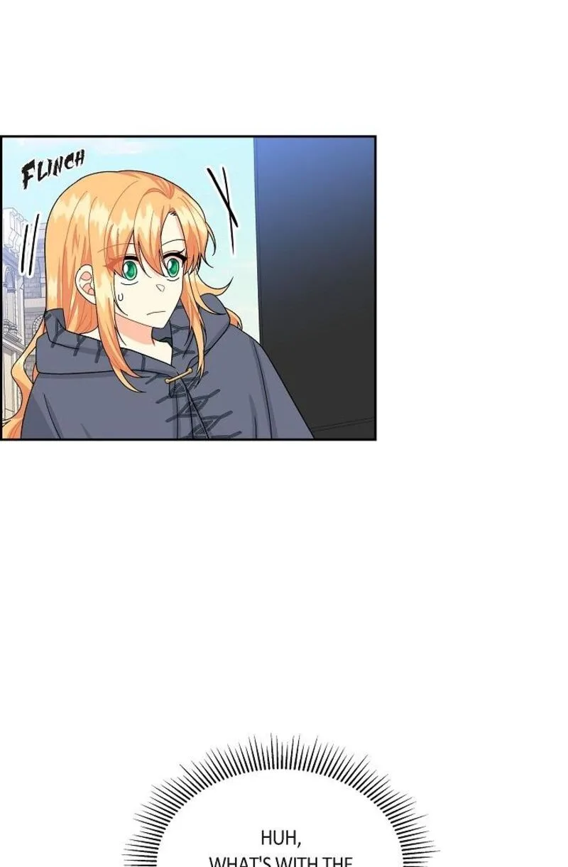The Destroyer Fell in Love With Me Chapter 48 page 28