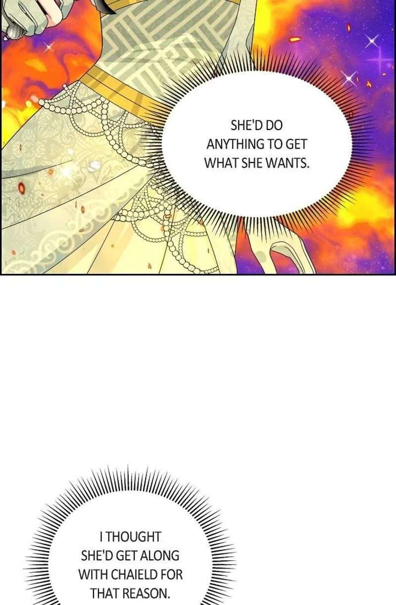 The Destroyer Fell in Love With Me Chapter 48 page 14