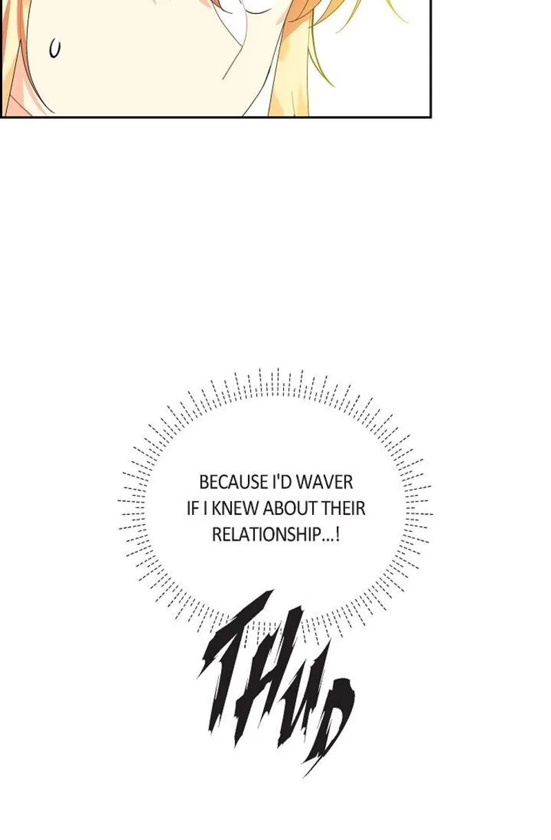 The Destroyer Fell in Love With Me Chapter 49 page 48