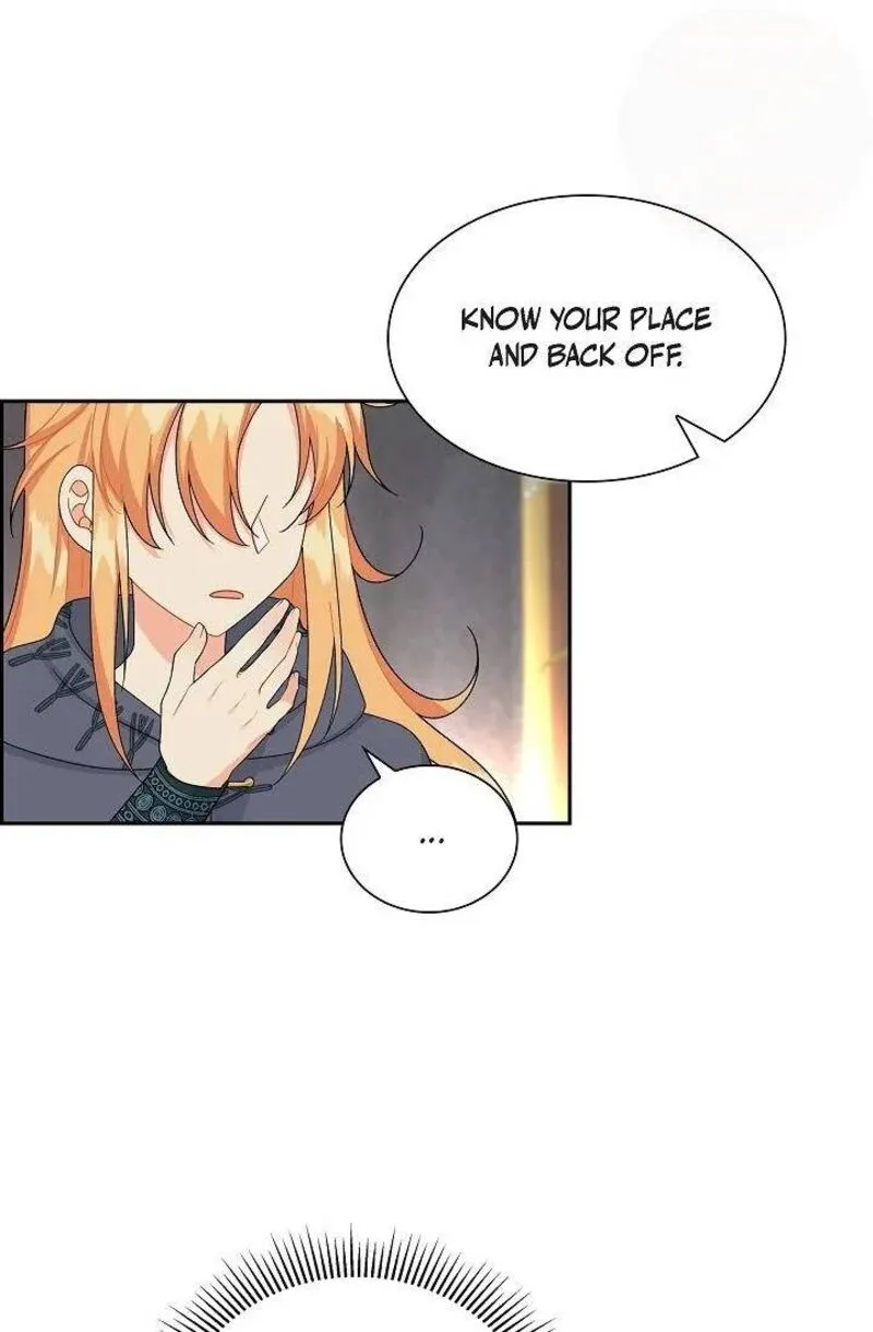 The Destroyer Fell in Love With Me Chapter 50 page 68