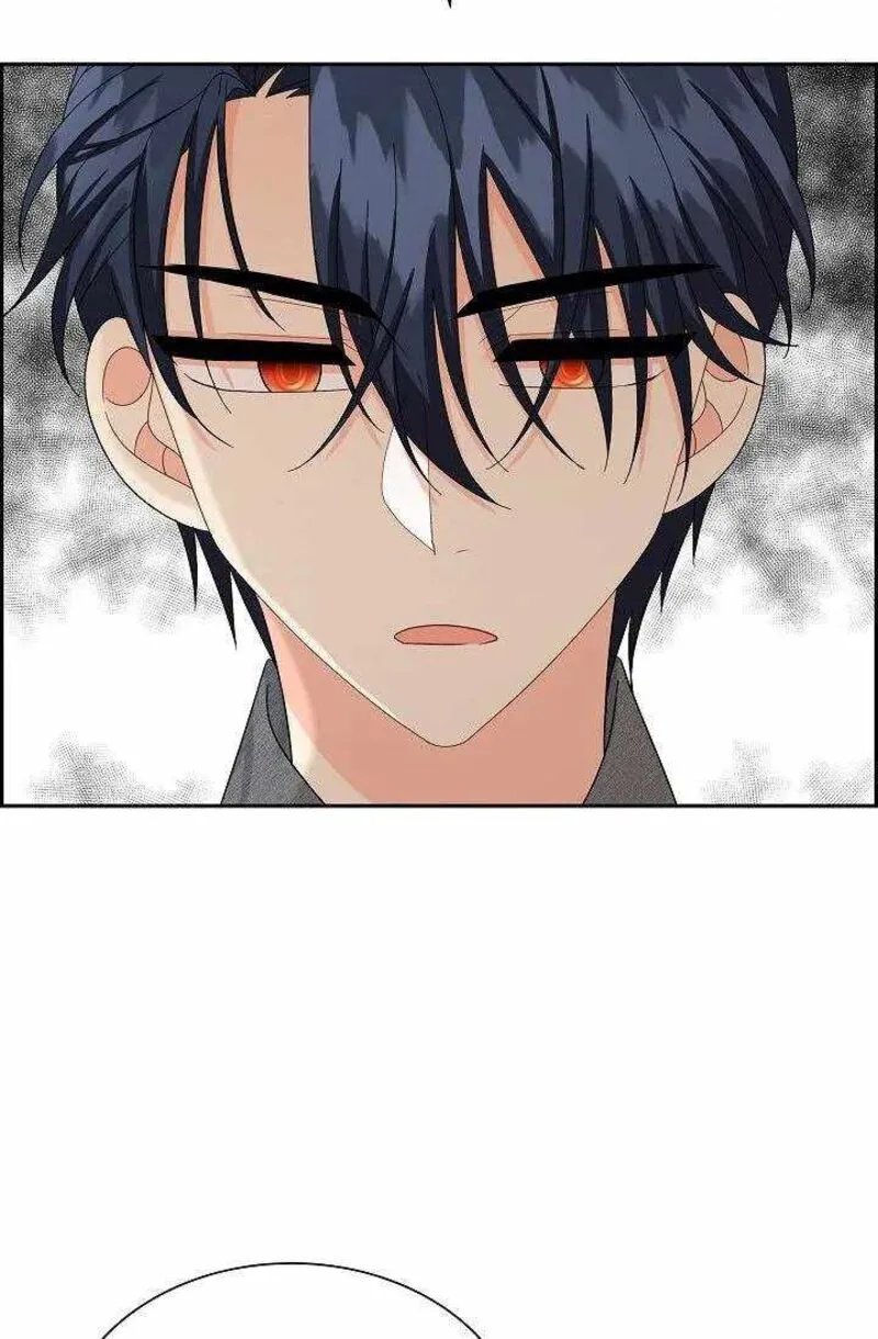 The Destroyer Fell in Love With Me Chapter 52 page 29