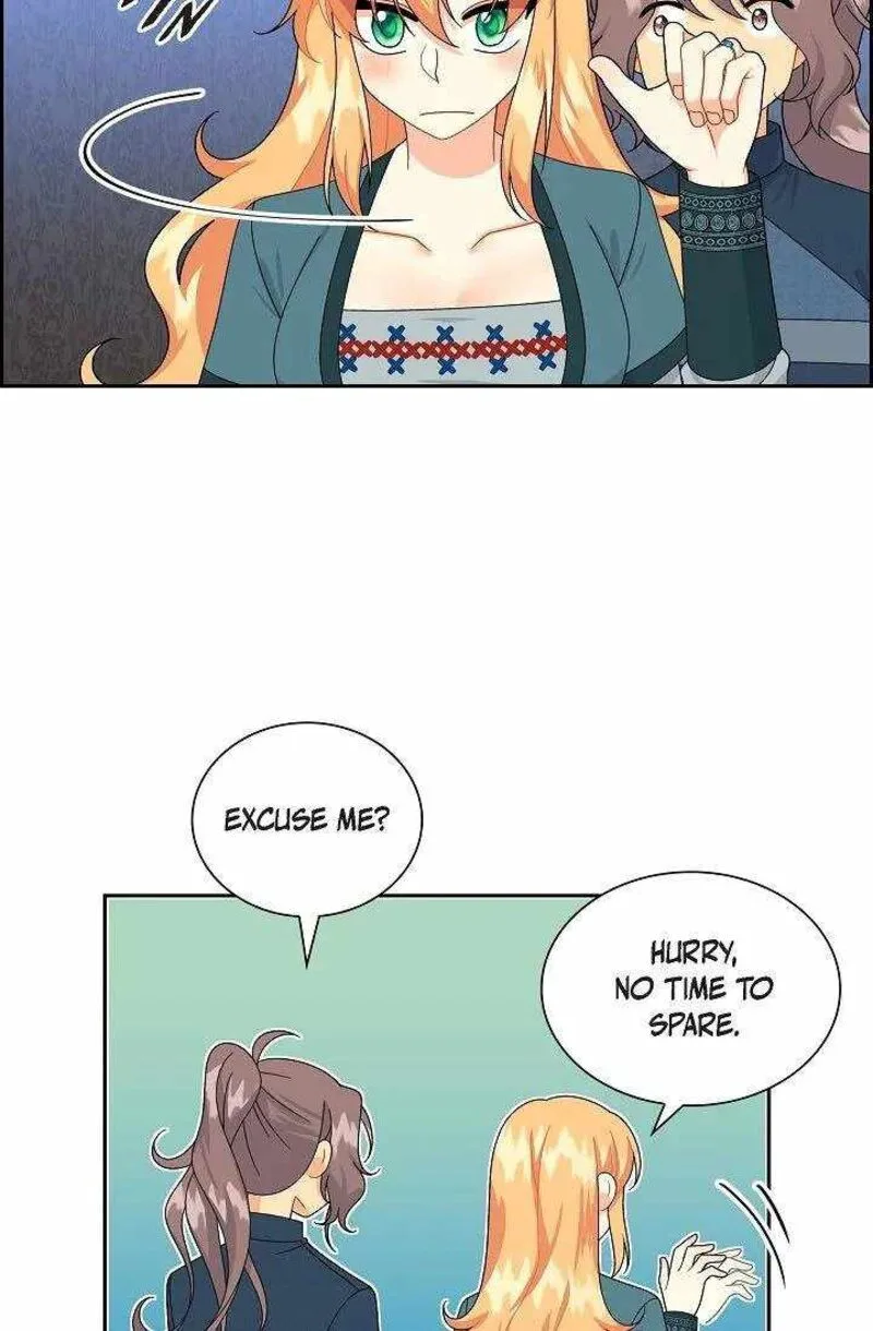 The Destroyer Fell in Love With Me Chapter 52 page 47
