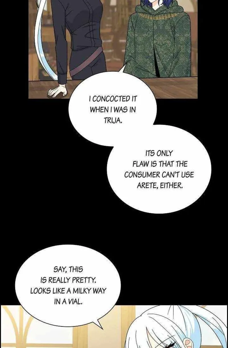 The Destroyer Fell in Love With Me Chapter 53 page 31