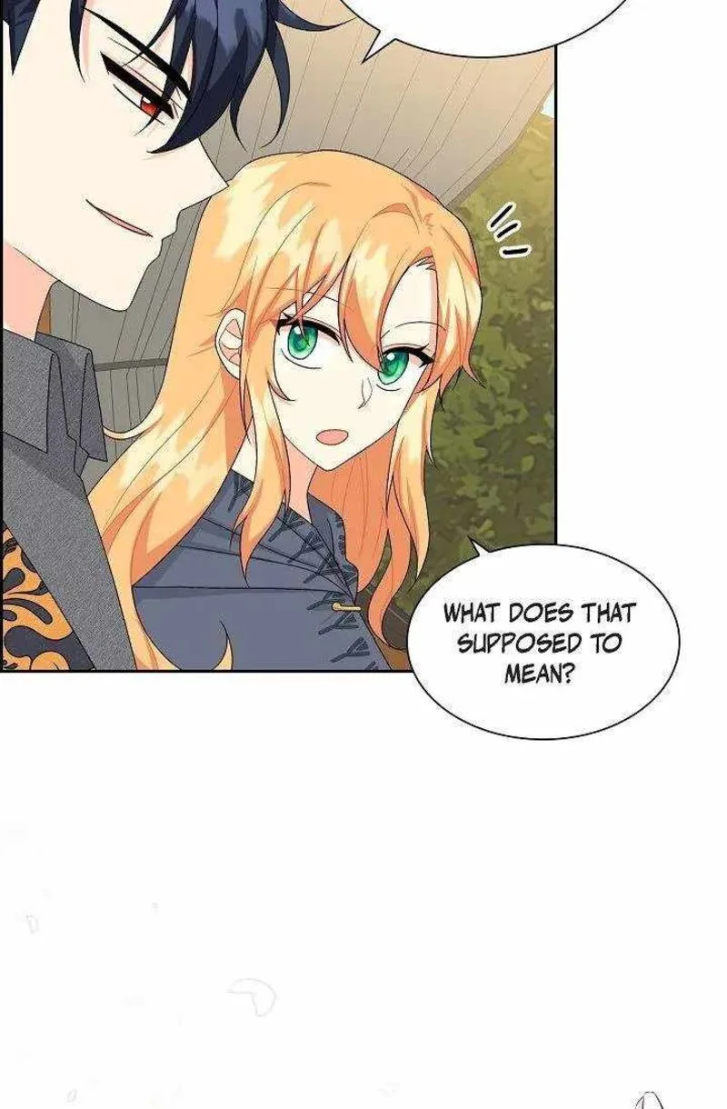 The Destroyer Fell in Love With Me Chapter 54 page 74