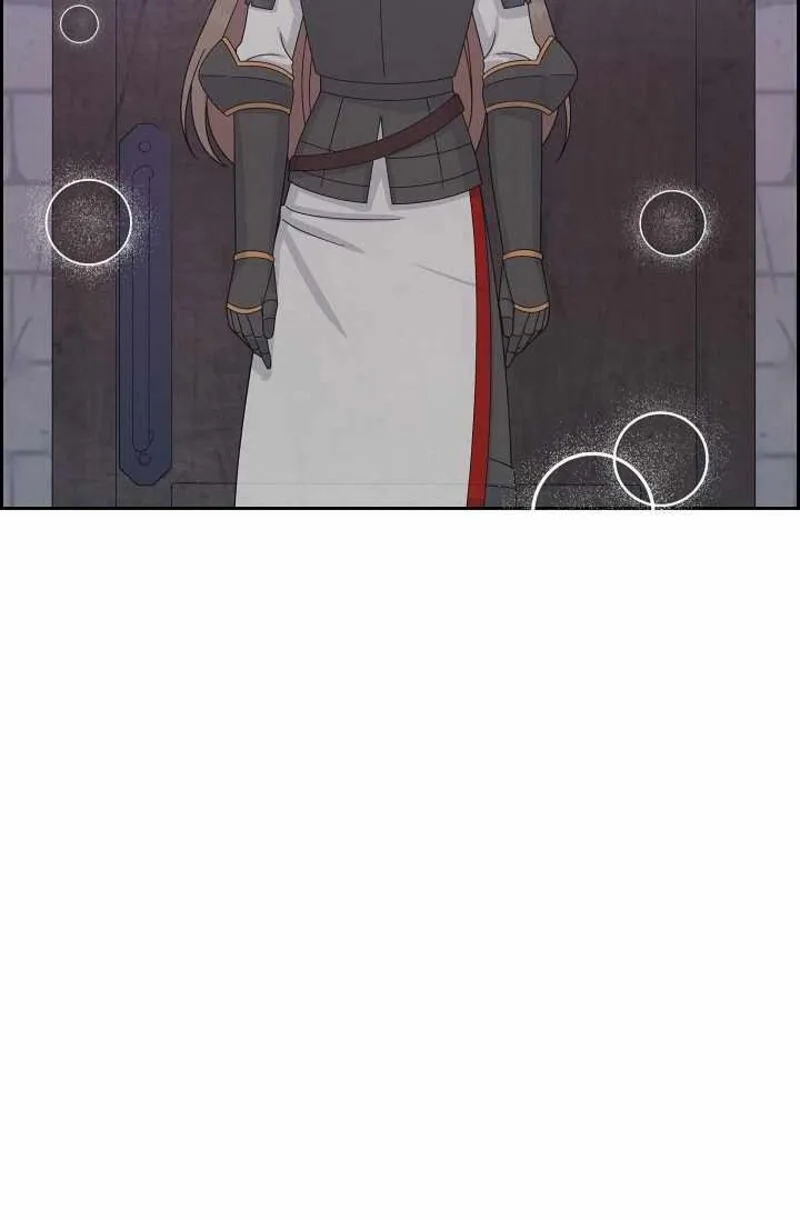 The Destroyer Fell in Love With Me Chapter 55 page 40