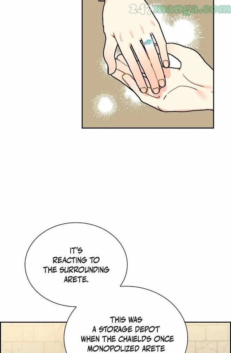 The Destroyer Fell in Love With Me Chapter 57 page 11