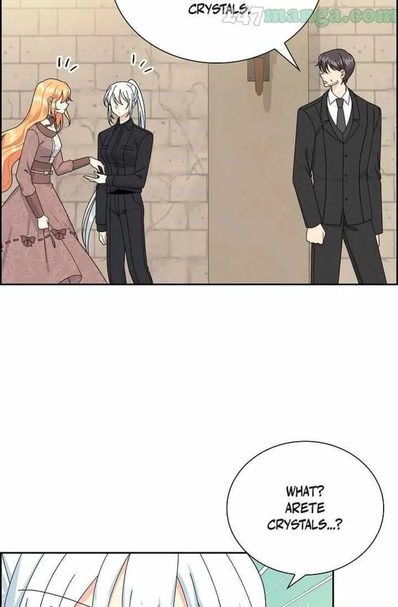 The Destroyer Fell in Love With Me Chapter 57 page 12