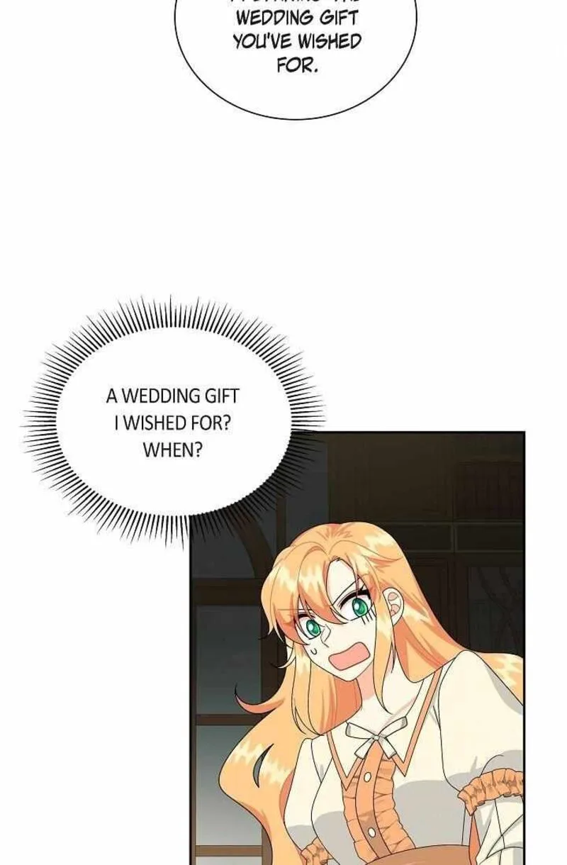 The Destroyer Fell in Love With Me Chapter 59 page 15
