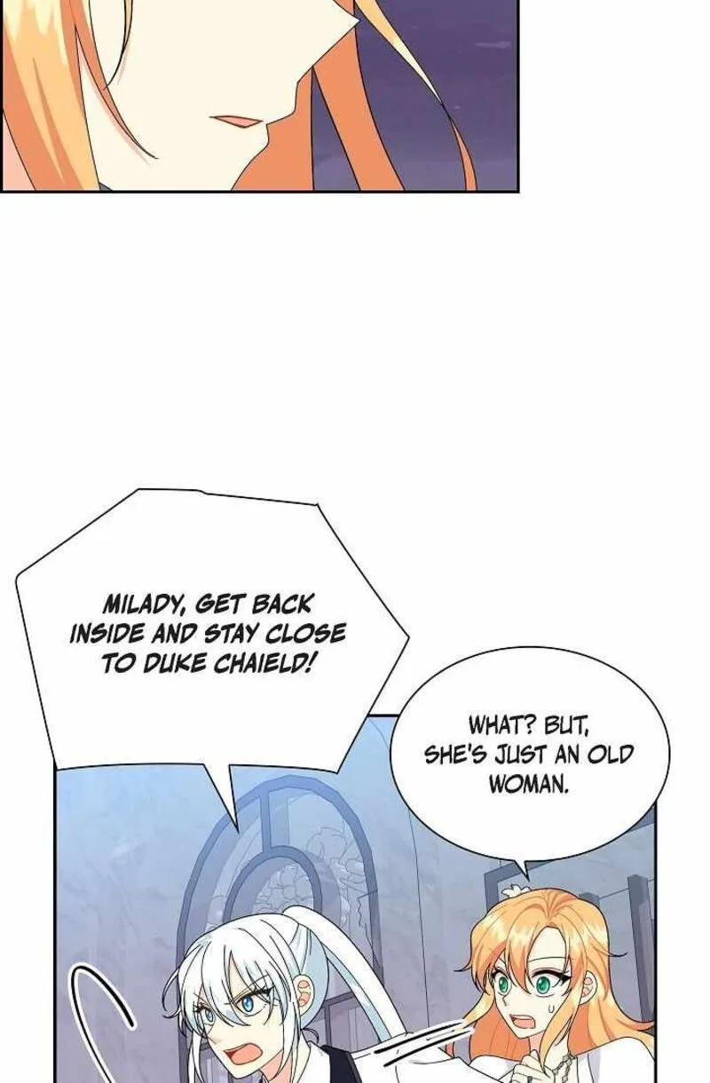 The Destroyer Fell in Love With Me Chapter 62 page 40