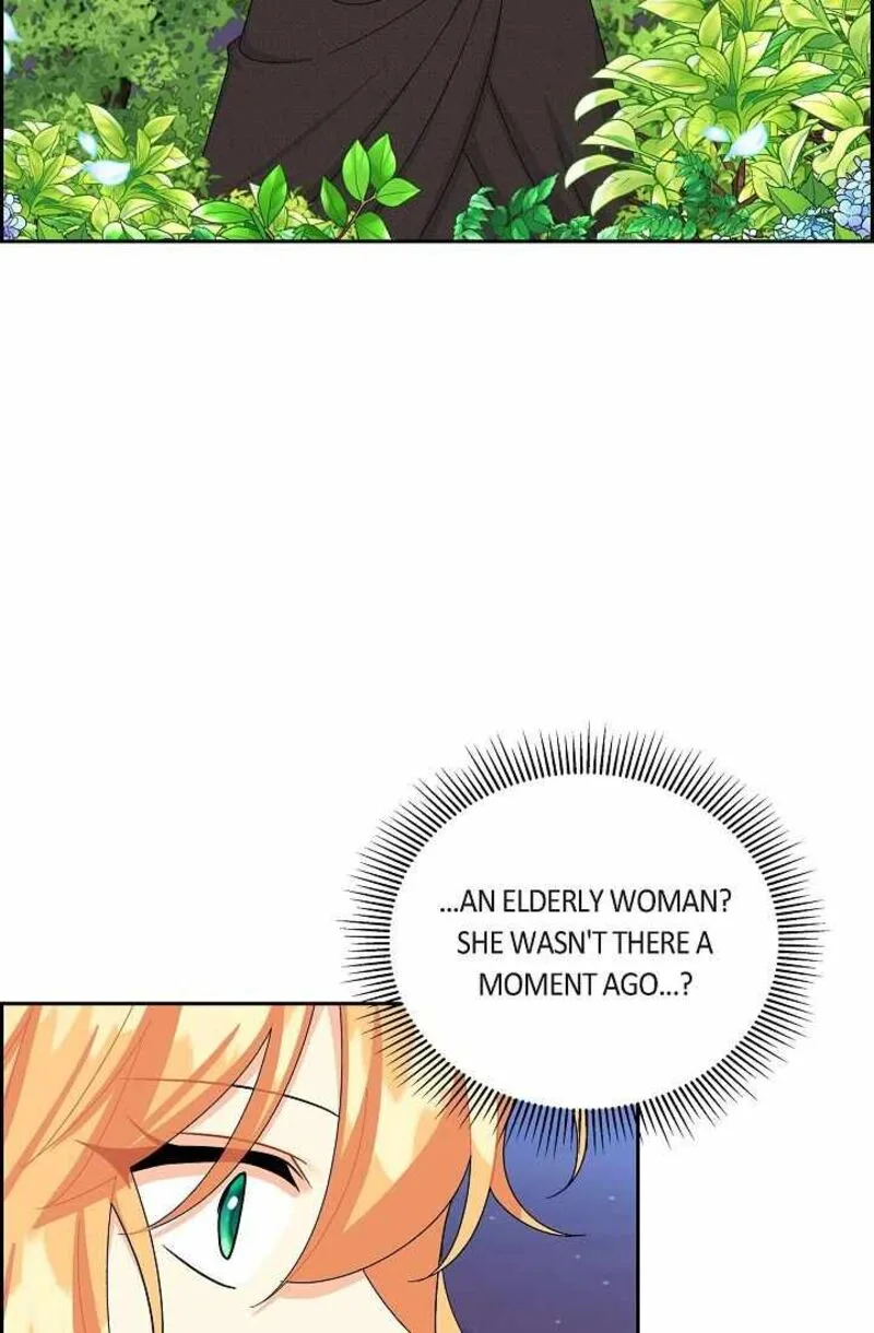 The Destroyer Fell in Love With Me Chapter 62 page 39